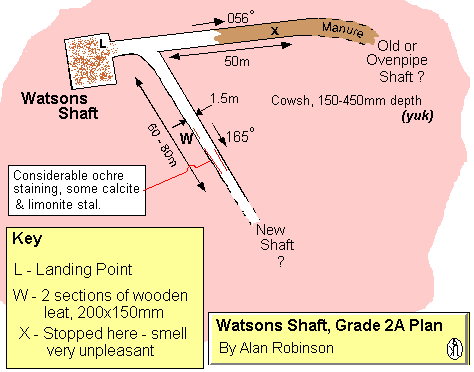 Plan of level at 45m depth in Watson's Shaft