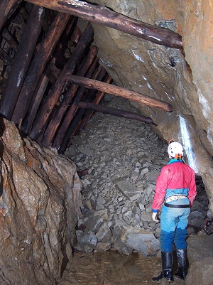 Same Junction area, 20th June 2004 after the fall. (Kelvin Lake)